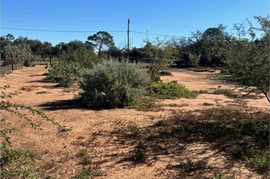 0 Bedroom Property for Sale in Steytlerville Eastern Cape